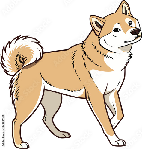 Cute Shiba Inu dog vector illustration 