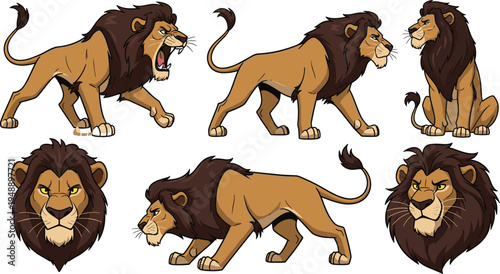 Powerful lion character set with different poses roaring walking sitting and head portraits isolated on white background flat vector illustration,