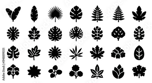 Black  White Glyph Icons: Diverse Collection of Leaf and Tree Silhouettes