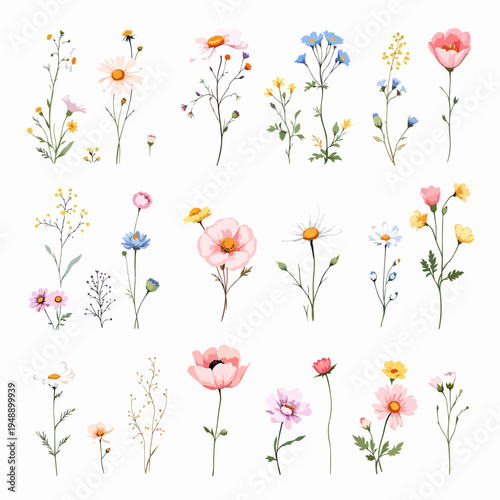 Graceful watercolor flower garlands with blooming petals and soft foliage forming elegant decorative dividers.