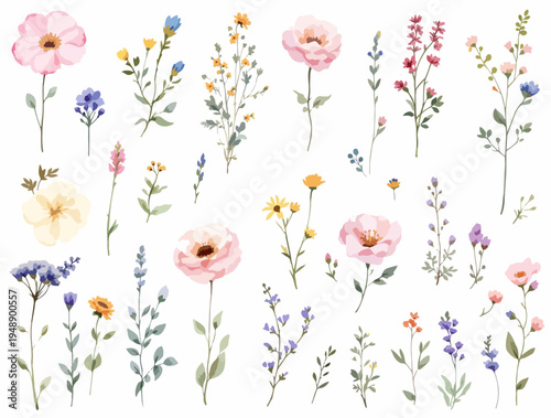 Vintage inspired watercolor flower borders featuring soft pink blossoms, tiny berries, and flowing leafy branches.