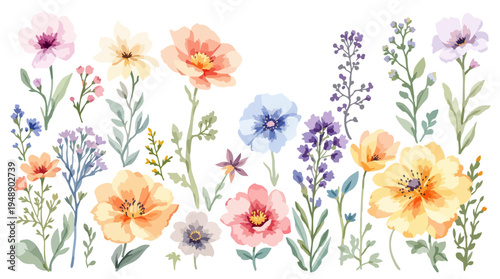 spring flowers border