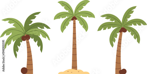 Tropical palm trees collection with coconuts and sandy island base, summer beach nature plants cartoon style vector illustration set