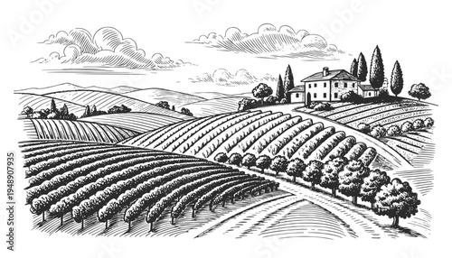 Vintage engraved vineyard landscape with farmhouse and rolling hills. Hand drawn black and white vector illustration in retro engraving style, ideal for winery branding, packaging, labels.