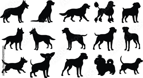 Collection of various dog breeds in silhouette against a white background