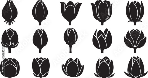 Black and White Tulip Silhouettes on White Background
