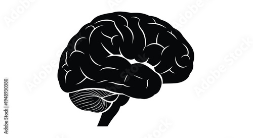 Detailed human brain illustration with intricate folds a striking silhouette