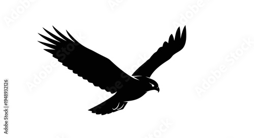 Hawk Flying Silhouette