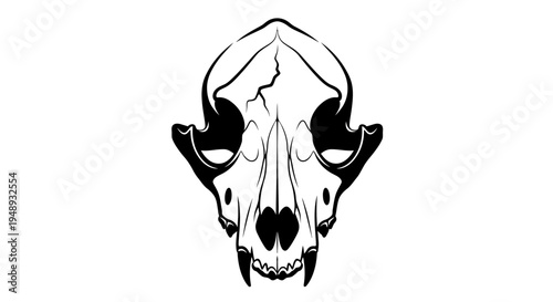 Black and white illustration of a bighorn sheep skull with horns on a white background.
