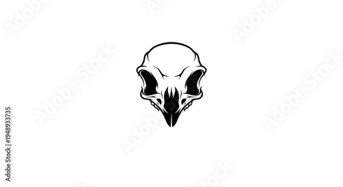 Black and white illustration of a bird skull on a plain white background.