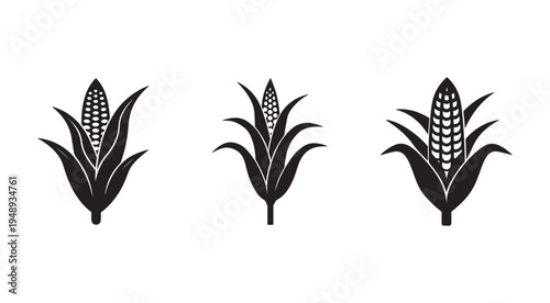 Corn silhouettes with leaves and ears of corn on white background  maize icons  corn illustrations