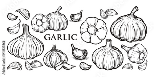 Garlic. Black garlic cloves separated from a white background.