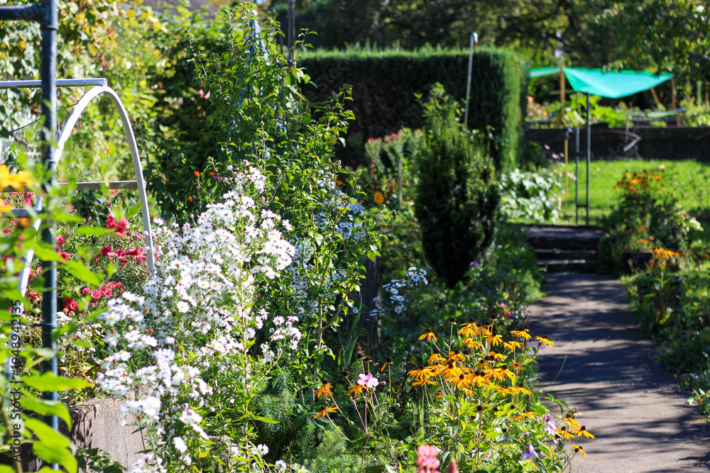 Fototapeta premium Garden path is leading through various flowering plants and green foliage on a sunny day