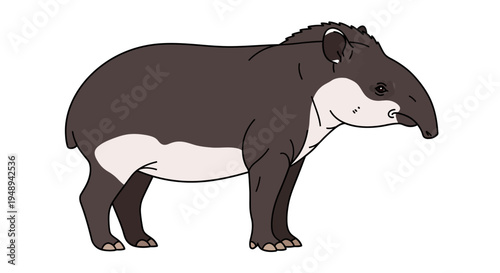 Stylized illustration of a tapir against a white backdrop depicting wildlife and fauna