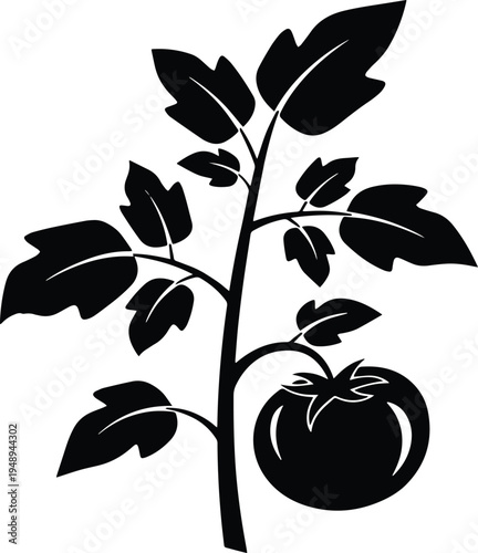 vector illustration of a tomato with plants 