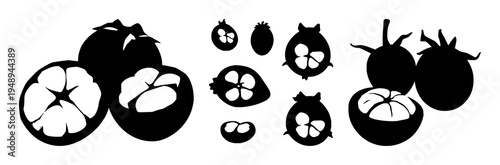 Mangosteen cross-section set with solid black silhouette on white background featuring laboratory-grown, exotic, future food with fruit and biology
