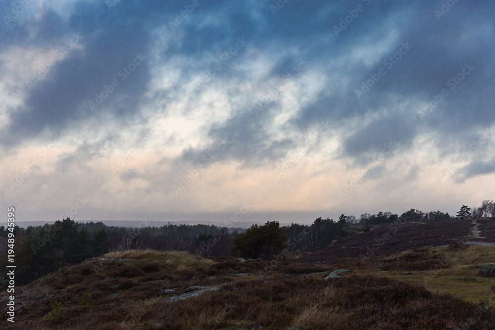 Obraz premium Dramatic moody landscape of rolling hills and wild heathland under a heavy stormy sky at twilight. Atmospheric nordic nature with dark clouds, autumn colors, and a vast horizon in gloomy weather.
