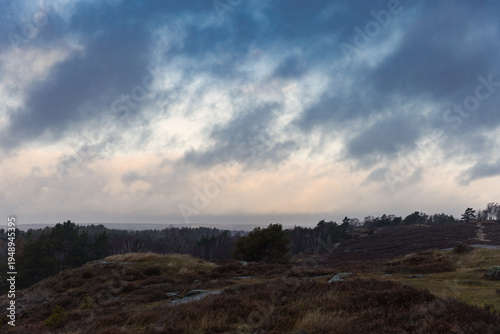 Dramatic moody landscape of rolling hills and wild heathland under a heavy stormy sky at twilight. Atmospheric nordic nature with dark clouds, autumn colors, and a vast horizon in gloomy weather.