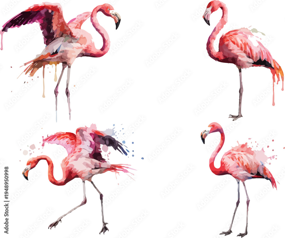 Obraz premium set of Watercolor Flamingo Bird Art, Exotic Tropical Wildlife Illustration Isolated on White