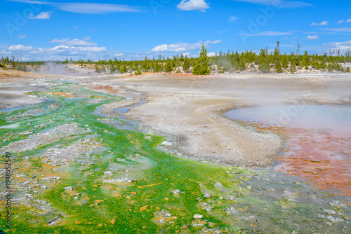 Neon Green Thermal Water Streams with Orange Bacterial Mat in Porcelain Basin, Norris Geyser Basin, Yellowstone