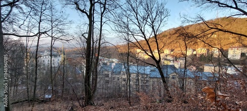 morning in the forest
