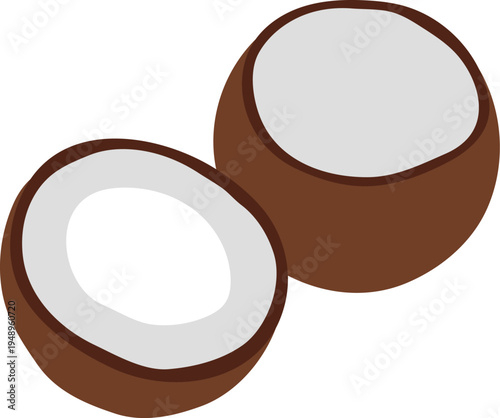 Two halves of a brown coconut