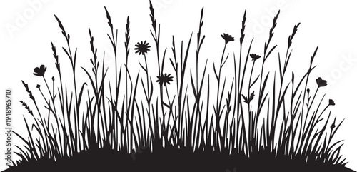 Wild Meadow Grass and Field Flowers Silhouettes Vector