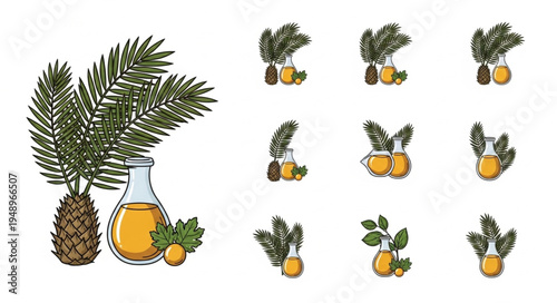 Collection of Argan Oil and Argan Fruit Illustrations for Beauty and Wellness Products.