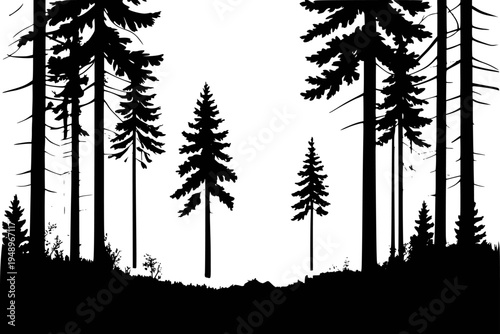 Black silhouette of a dense evergreen forest with varied tree heights against a white background