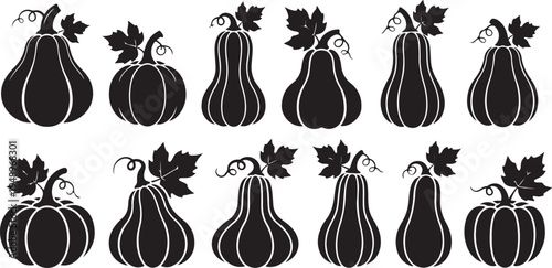 Black and white illustration of various pumpkin shapes