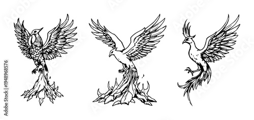 Phoenix bird set with detailed woodcut style illustration featuring mythical creature, rising from ashes, black ink with white background and intricate design