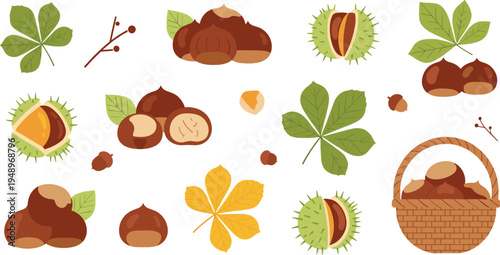 Flat vector illustration set of autumn horse chestnuts featuring brown nuts, green prickly shells, yellow and green leaves, and a woven wicker harvest basket.