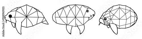 Geometric tardigrade set with symmetrical line art of a microscopic biology theme featuring white background, modern style, detailed limbs with segmented body and clear contours