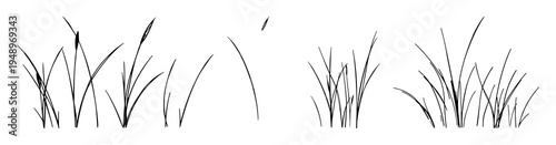 Grasses set with realistic natural elements featuring plants, foliage, herbs with flora and greenery