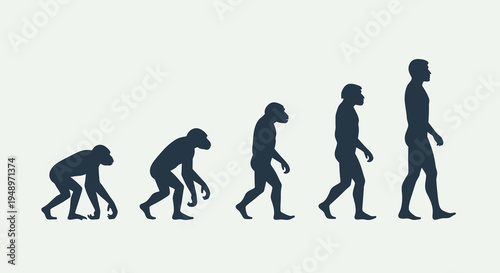 Evolutionary journey from a primate ancestor to modern humans, illustrating the gradual process of hominid development and upright posture