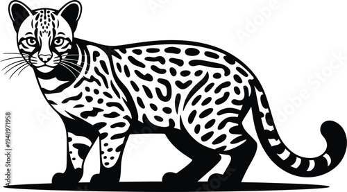 vector illustration of a leopard cartoon