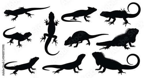 Diverse lizard silhouettes in various poses and forms silhouette