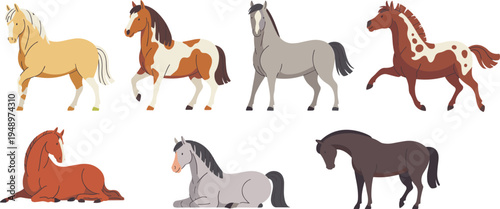 Horse cartoon illustration collection featuring different horse poses and breeds isolated on white background farm animal wildlife vector character set
