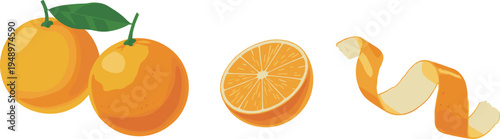 Illustration of oranges in different stages from whole fruit to peeled spiral, showing fresh citrus segments, pulp, and leaves for culinary and educational use