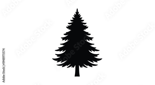 Simple black silhouette of a coniferous evergreen tree on white background