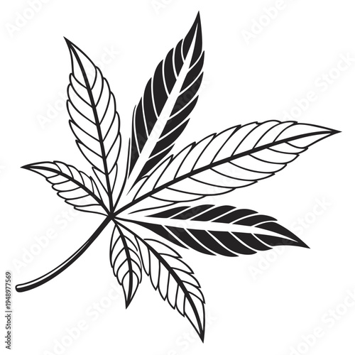 Cannabis leaf vector - marijuana and herb graphic with suitable for related