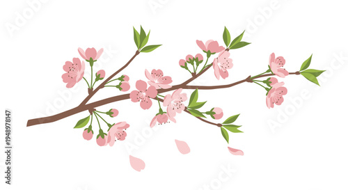 Vector cherry blossom branch with pink flowers and green leaves