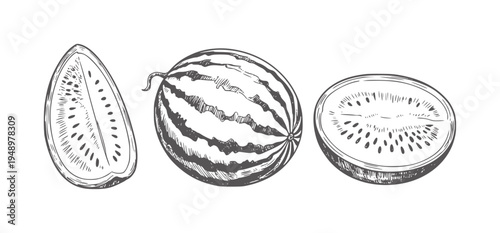 Black and white ink of a whole watermelon and two cut fruits