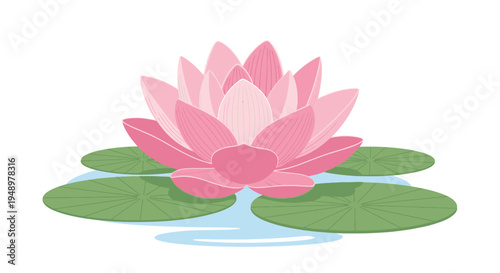 Vector pink lotus flower on lily pads