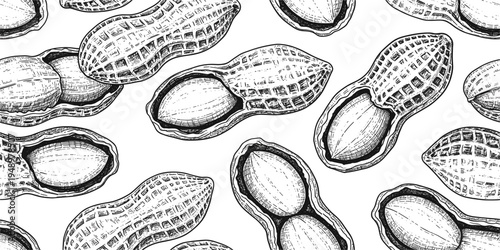 Hand Drawn Peanut Seamless Pattern Vintage Engraving Style Peanuts in Shell Botanical Food Illustration for Packaging Textile Wrapping Paper and Background Design