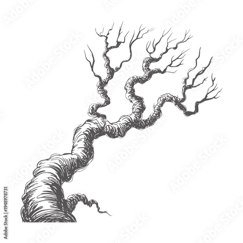 Black and white of a gnarled bare tree branch