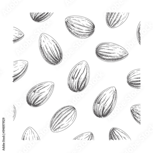 Black and white pattern of hand drawn almonds food monochrome