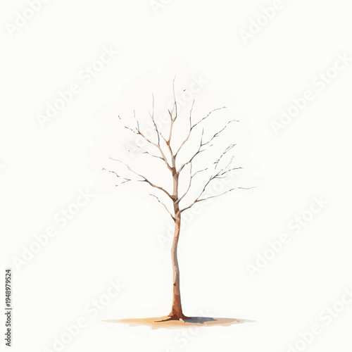 Isolated barren tree with intricate branches on a white background, minimalist style