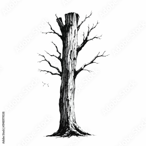 Dead tree illustration with intricate details in black and white