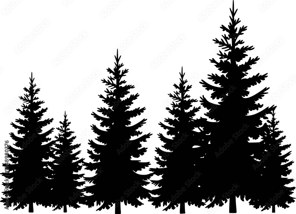 Fototapeta premium Silhouette of a dense forest of pine trees a white background nature